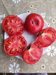 Дедушкин мёд 17.08.2025 разрез.jpg