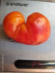 Дух Горы 14.08.2025 вес.jpg