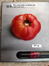 Наслаждение долины роз 6.08.2025 вес.jpg