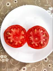 Красный крупный от бабушки из Башкирии 12.08.2025 разрез.jpg