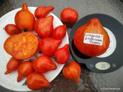 Сладкая карамель Софии 2.jpg