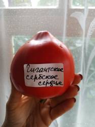 Гигантское сербское сердце 2.jpg