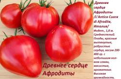 Древнее сердце Афродиты.jpg