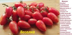 Веселка.jpg