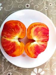 Дух Горы 14.08.2025 разрез.jpg