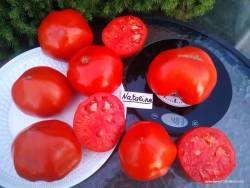 Natalina на весах.jpg