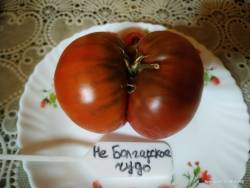 Не Болгарское чудо.jpg