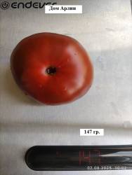 Дом Арлин 02.08.2025 вес.jpg