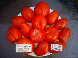 Итальянский жеребец красный.jpg