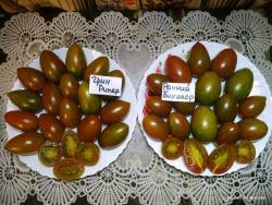 Грин Рипер и Ранний биколор.jpg