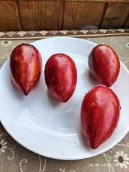 Загадка Клубничного Водопада 16.08.2025.jpg