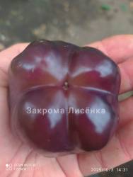 C_IMG_20251003_152306.jpg