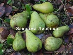 C_IMG_20251025_161841.jpg