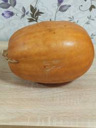 Дружелюбная