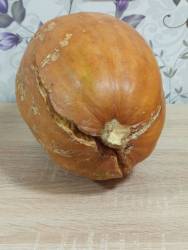 Дружелюбная