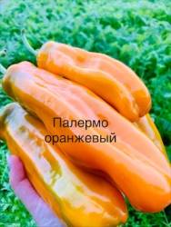 IMG_5457.jpeg