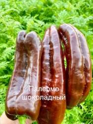 IMG_5458.jpeg