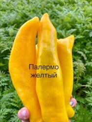 IMG_5459.jpeg