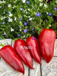 IMG_5484.jpeg