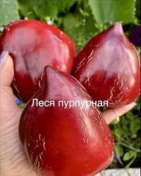 IMG_5485.jpeg