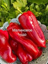 IMG_5486.jpeg