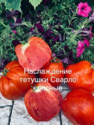 IMG_5866.jpeg
