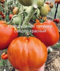IMG_5867.jpeg