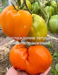 IMG_5868.jpeg