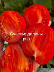 IMG_5869.jpeg