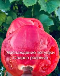 IMG_5873.jpeg