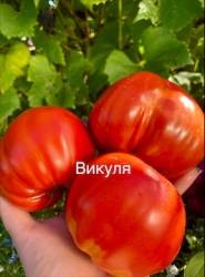 IMG_5874.jpeg