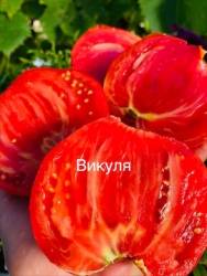 IMG_5875.jpeg