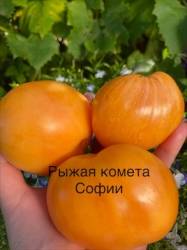 IMG_5876.jpeg