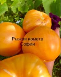 IMG_5877.jpeg