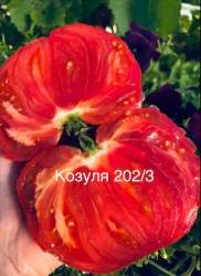 IMG_5878.jpeg
