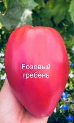 IMG_5879.jpeg