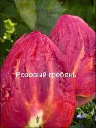 IMG_5880.jpeg