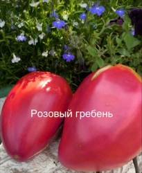 IMG_5881.jpeg