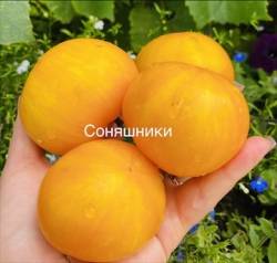 IMG_5883.jpeg