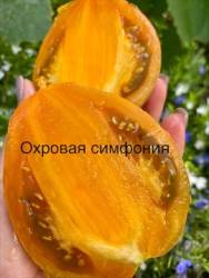 IMG_5885.jpeg