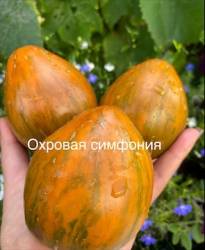 IMG_5886.jpeg