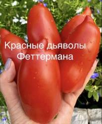 IMG_5888.jpeg