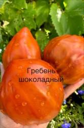 IMG_5889.jpeg