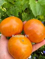 IMG_5904.jpeg