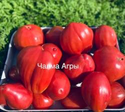 IMG_5906.jpeg