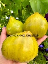 IMG_5907.jpeg