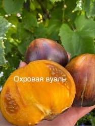 IMG_5909.jpeg