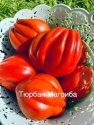 IMG_5911.jpeg