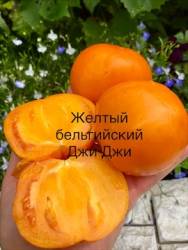 IMG_5913.jpeg