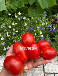 IMG_5915.jpeg